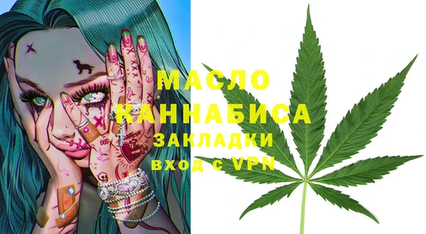 мяу мяу мука Гусь-Хрустальный