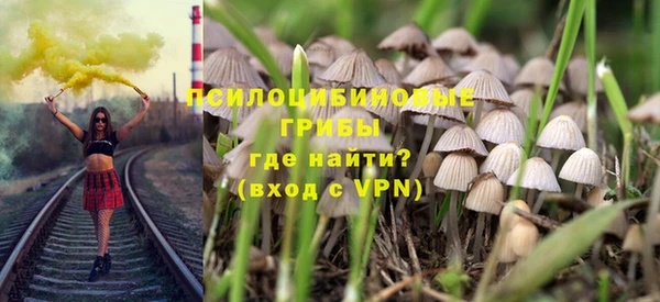 тгк Михайлов