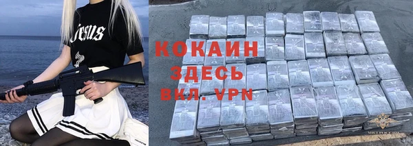 тгк Михайлов