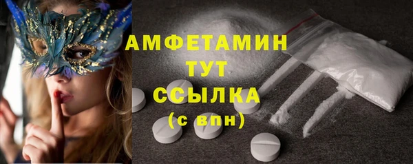 стаф Мегион